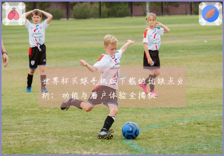 世界杯买球手机版下载的优缺点分析：功能与用户体验全揭秘