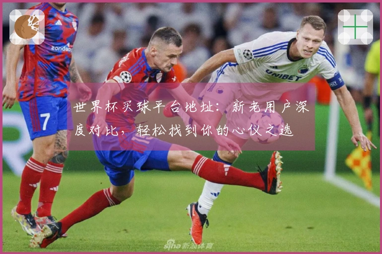 世界杯买球平台地址：新老用户深度对比，轻松找到你的心仪之选
