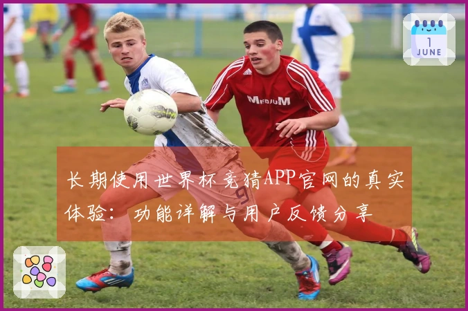 长期使用世界杯竞猜APP官网的真实体验：功能详解与用户反馈分享
