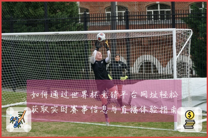 如何通过世界杯竞猜平台网址轻松获取实时赛事信息与直播体验指南