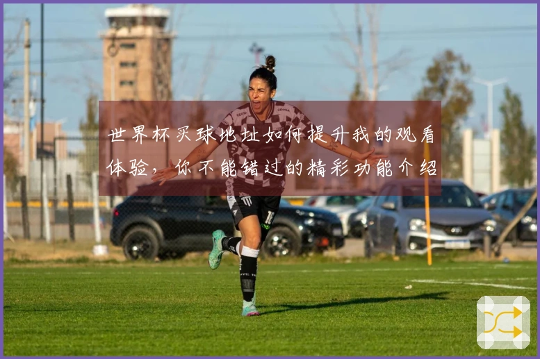 世界杯买球地址如何提升我的观看体验，你不能错过的精彩功能介绍