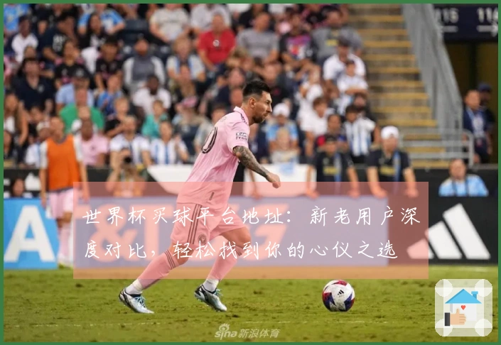 世界杯买球平台地址：新老用户深度对比，轻松找到你的心仪之选