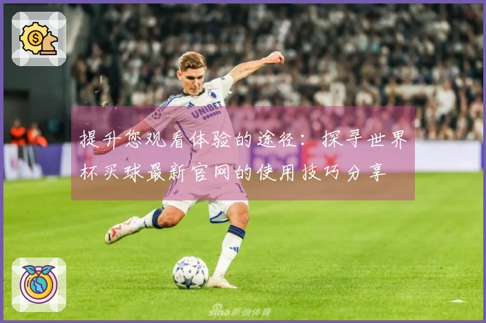 提升您观看体验的途径：探寻世界杯买球最新官网的使用技巧分享