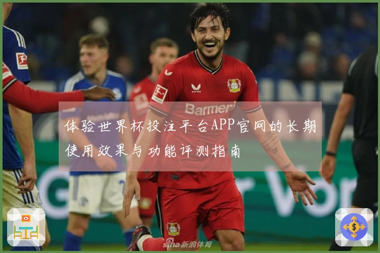 体验世界杯投注平台APP官网的长期使用效果与功能评测指南