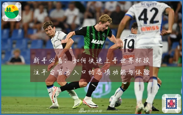 新手必看：如何快速上手世界杯投注平台官方入口的各项功能与体验