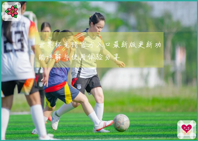 世界杯竞猜官方入口最新版更新功能详解与使用体验分享
