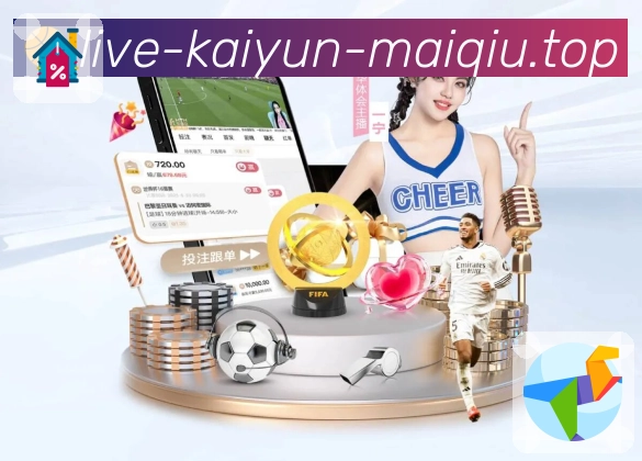 全球访问热力图